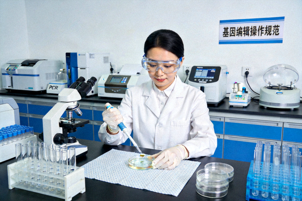 生物技术创新实验室，研究人员正在进行基因编辑实验